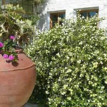 Natura And