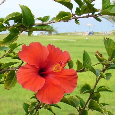 Отель Natura And Полис